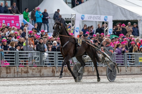 Fredrik B Larsson startar gärna Milliondollarrhyme i Elitloppet igen. Foto av Lena Emmoth TR Bild